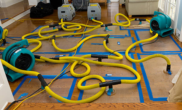 Professional Structural Drying And Dehumidification technician working in Bear Lake, MI